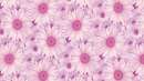 Printed Wafer Paper - Pink Daisy